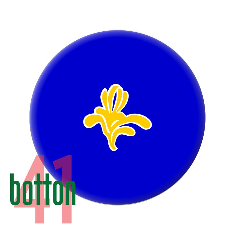 Bandeira Cidade Bruxelas