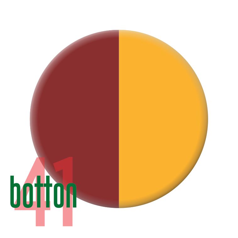 Bandeira Cidade Roma