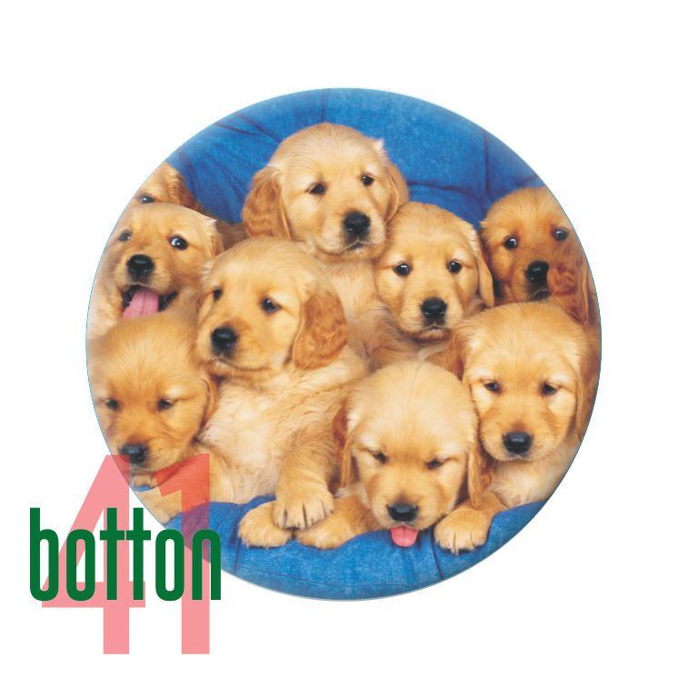 Cachorrinhos