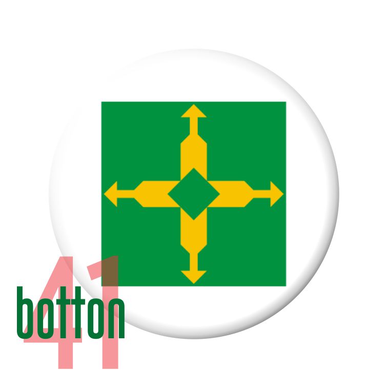 Bandeira Distrito Federal (Brasília)